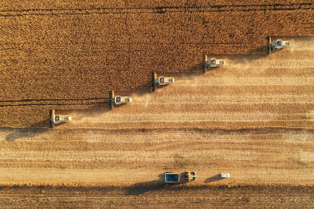 Precision Farming for Global Food Security. AI and the Fourth Agricultural Revolution