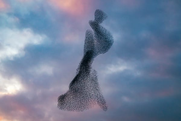 Drones, Swarming and Collaborative robots