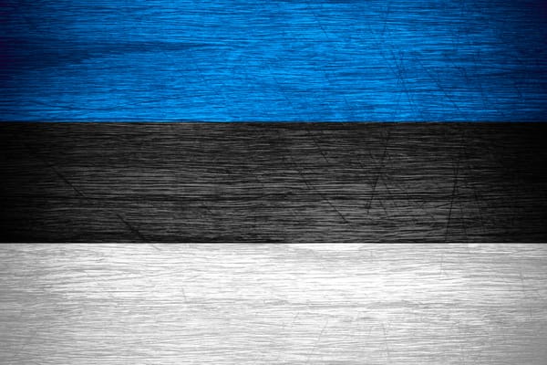 🇪🇪 Estonia's National Capability. GINC's Emerging Assessment.